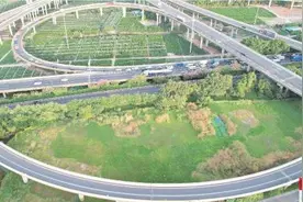 佛山百日“刷新” 少花钱办成事图片