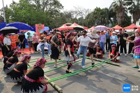 2025年定安县黎族苗族传统节日“三月三”活动举行图片