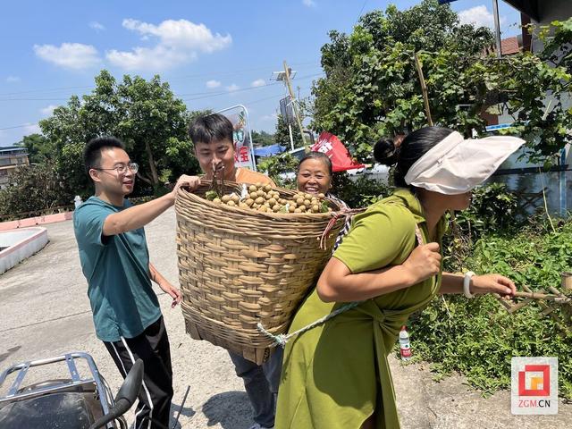 就在本周六！怀德镇第二届桂圆采摘文旅节火热开启！