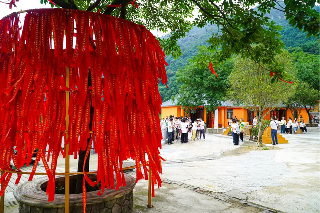 三水的秋天藏在这里！7个必去的研学打卡点，遛娃、学习、赏秋景全不误！