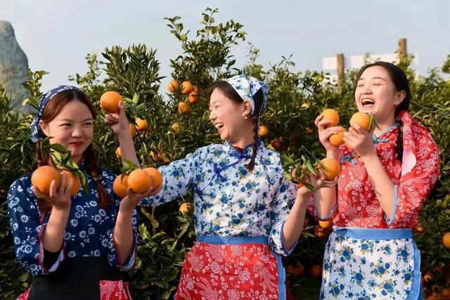 赏花、摘果、逛古镇，玩一天根本不够！