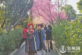 春光无限好 赏樱正其时图片