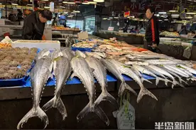 谷雨到，鲅鱼热卖图片