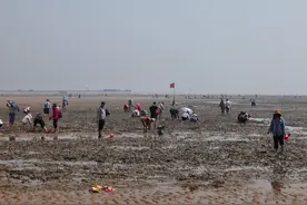 在4A景区赶海图片