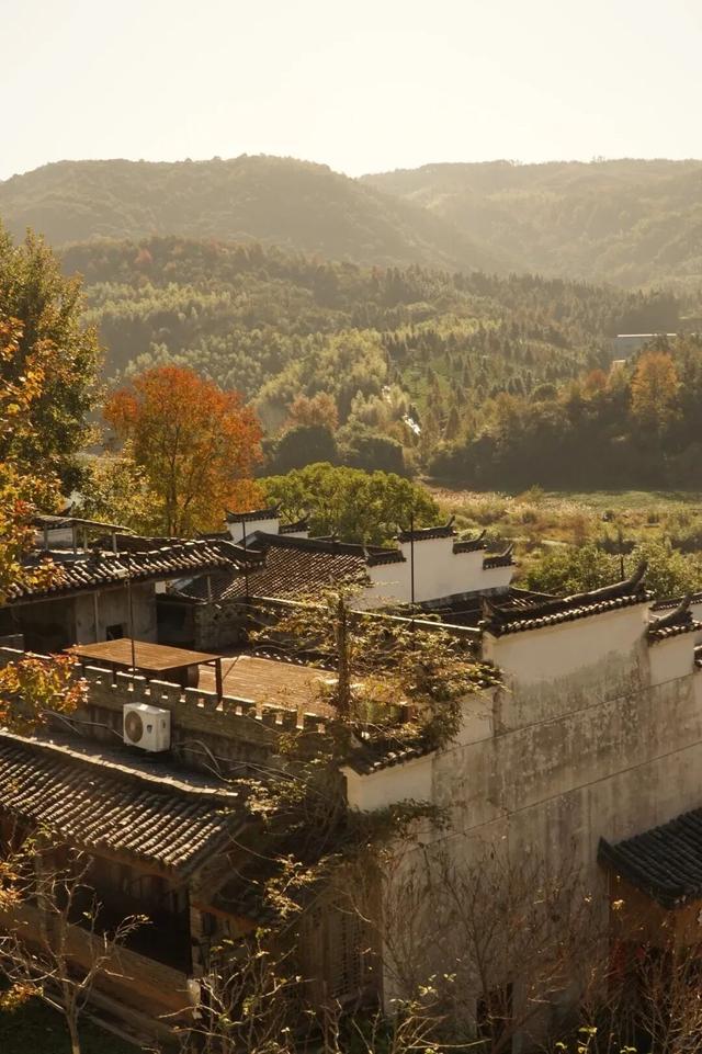 今日立冬 | 鄱湖映霜色，暖食沁人心