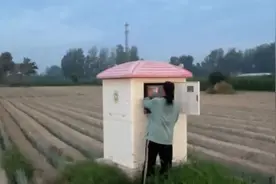 河南多地连续30多天无有效降雨，如何应对旱情？图片