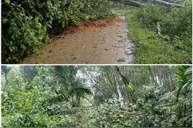 台风“蝴蝶”登陆后影响不减 未来或将继续带来暴雨大暴雨图片