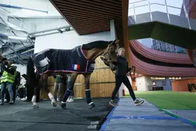 2025上海环球马术冠军赛开赛在即 首批赛马抵沪图片