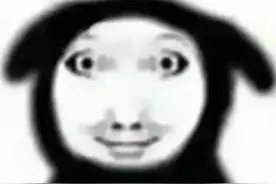 密密麻麻！广东一地出现“蚊卷风”图片