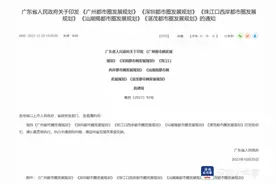 重磅！深圳都市圈发展规划公布 东莞惠州全域纳入图片