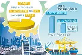 阿联酋经济多元化战略成效显著图片