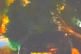 太原一水桶粗大树被大风连根拔起砸中车辆，所幸无人受伤，当天阵风可达9级或以上图片