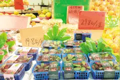 早熟杨梅上市图片