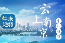 起猛了！怎么有人刷“考拉茉莉”去上班？图片