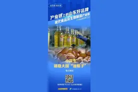 乳山锐评丨从“白胖子”到“金豆子” 看这条产业链如何“一路生花”图片