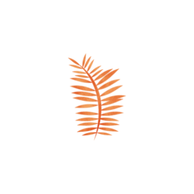 水杉红了！这片「顶流火焰」，再不看就等明年了