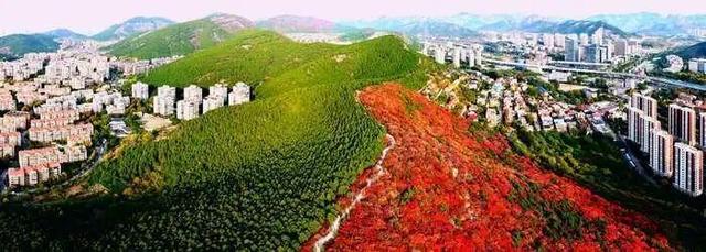 秋日限定美景已上线，济南邀您共赴金秋之约