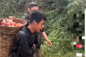 “弟弟辍学卖苹果供北大哥哥读书”视频系杜撰摆拍卖惨带货，警方：涉事博主被处罚图片
