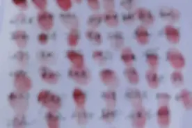 一车企遭到“全体员工”按手印控诉？回应：公众号被盗用图片
