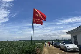 咸安区官埠桥镇：防汛一线党旗红 风雨同行保平安图片