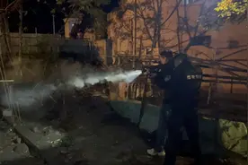 又有野猪入侵！杭州临安一野猪闯入村民家，民警当场击毙图片