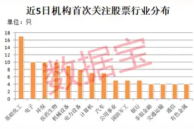 机构最新盯上的绩优股出炉！人形机器人龙头涨幅翻倍，这些低PE股处于超跌状态图片