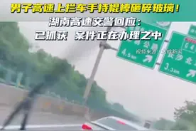 男子高速上拦车手持棍棒砸碎玻璃！湖南高速交警回应：已抓获图片