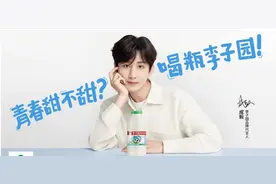 李子园“三十未立”！超级单品或成增长桎梏|品牌观察图片