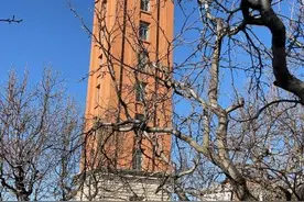 云南高校开放程度调查②｜公众进入高校，可以干些什么？图片