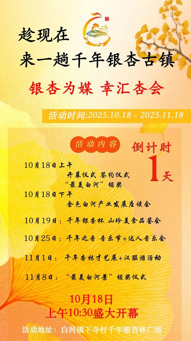 倒计时 1 天！河南嵩县第十六届银杏文化艺术活动暨产业发展大会即将开幕