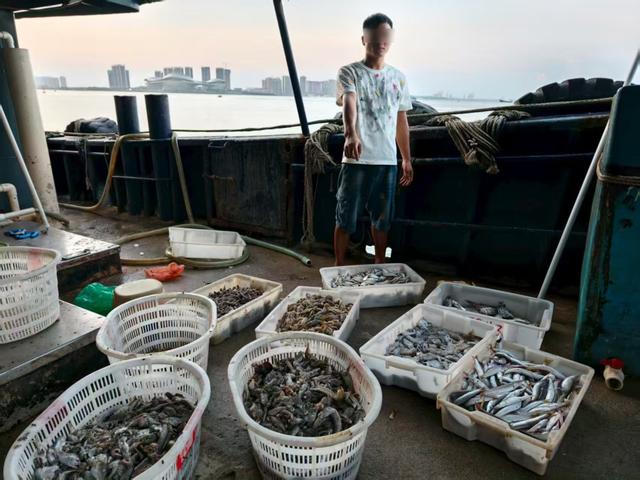 广东湛江海警4天连查6起海上违法案件