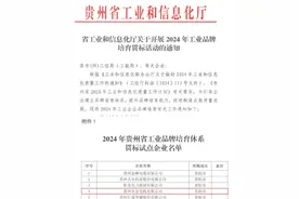 喜讯！贵阳产控集团旗下贵州永安获“2024年贵州省工业品牌培育体系贯标试点企业”称号图片