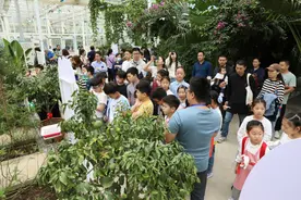 这里的蝴蝶为何不怕人？记者探秘省内首家活体蝴蝶展示馆图片