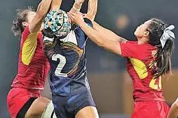 橄榄球场玫瑰绽放图片