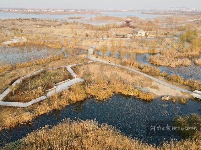 淮阳龙湖湿地冬景如画 生态保护成效显著