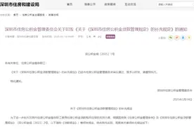 提振消费！深圳发布公积金新政，家庭最高可贷231万元图片