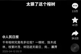 央媒聚焦！点赞超百万！福州千年古榕火遍全国！图片