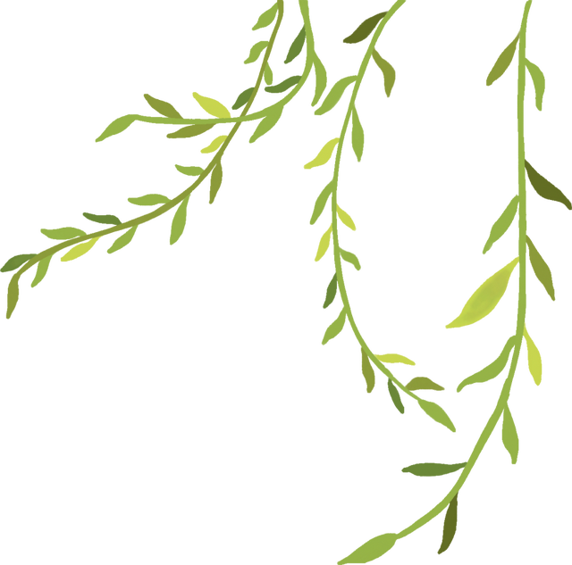 清明假期不闭馆‼️但这天别跑空哦～