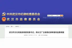 武汉市文旅局原局长王广立被查，今年2月已被免职图片
