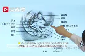 女生的小肚子保护子宫卵巢？真相扎心……图片