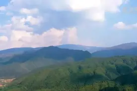 从“排名靠后”到“多项第一”！这个秦岭山区县凭啥？图片