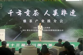 雅安40余家茶企组团亮相茶博会 茶叶专家、消费者等进行茶叶质量感官评比图片