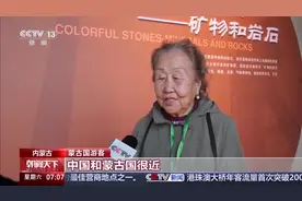 “China Travel”持续火爆 外国游客也来中国“遛娃”图片