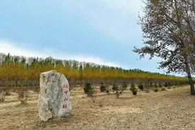 “我为碳中和种棵树公益探访暨自然体验活动”在黑龙江大庆举行图片