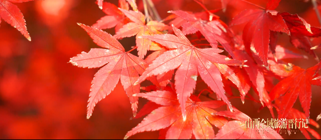 绛县全域旅游绘新卷：峪谷藏灵秀 山水醉游人