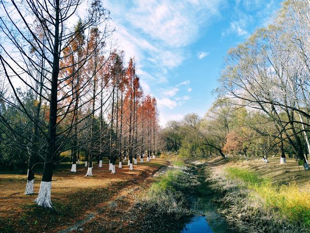 秋深冬浅时，奥森浸染缤纷色彩