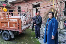 偷猪不成蚀把米！两头猪被偷3个月找回时胖了100斤图片