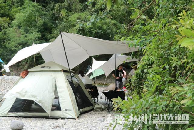 绥阳县青杠塘镇：火热夏天联结清凉经济 生态优势迸发产业新动能