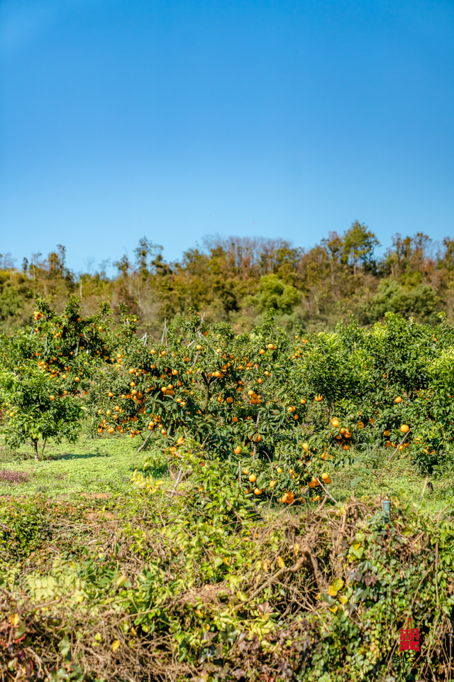 抓住晴天尾巴，徒步青龙山！
