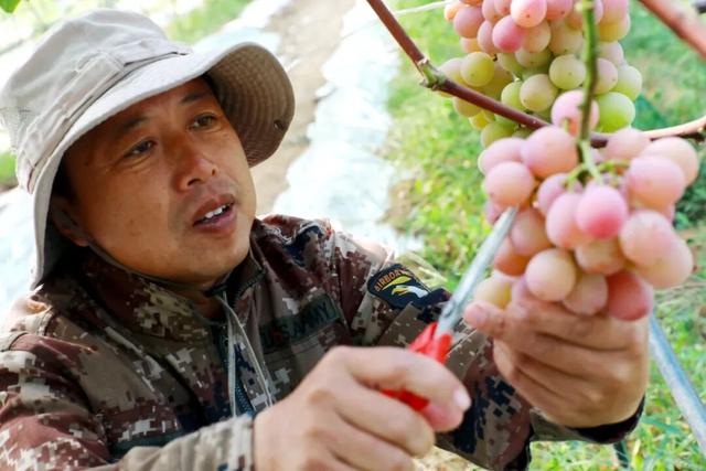 国庆假期必冲！威海这处“花果园”，秋天的味道拿捏了！